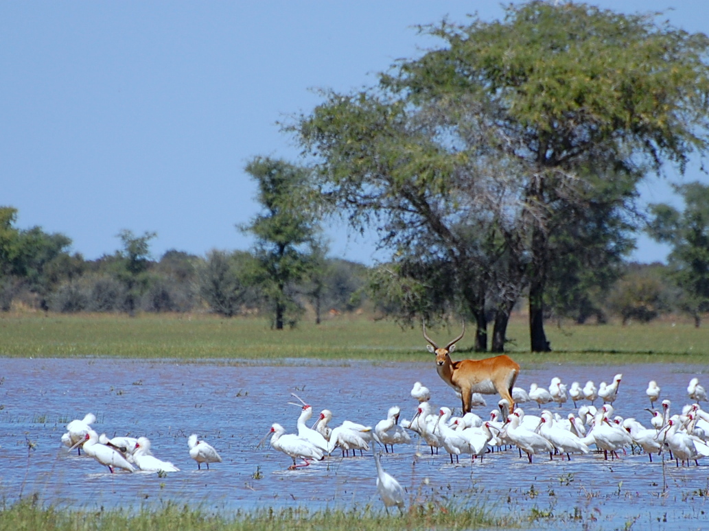 テキスト ボックス:  