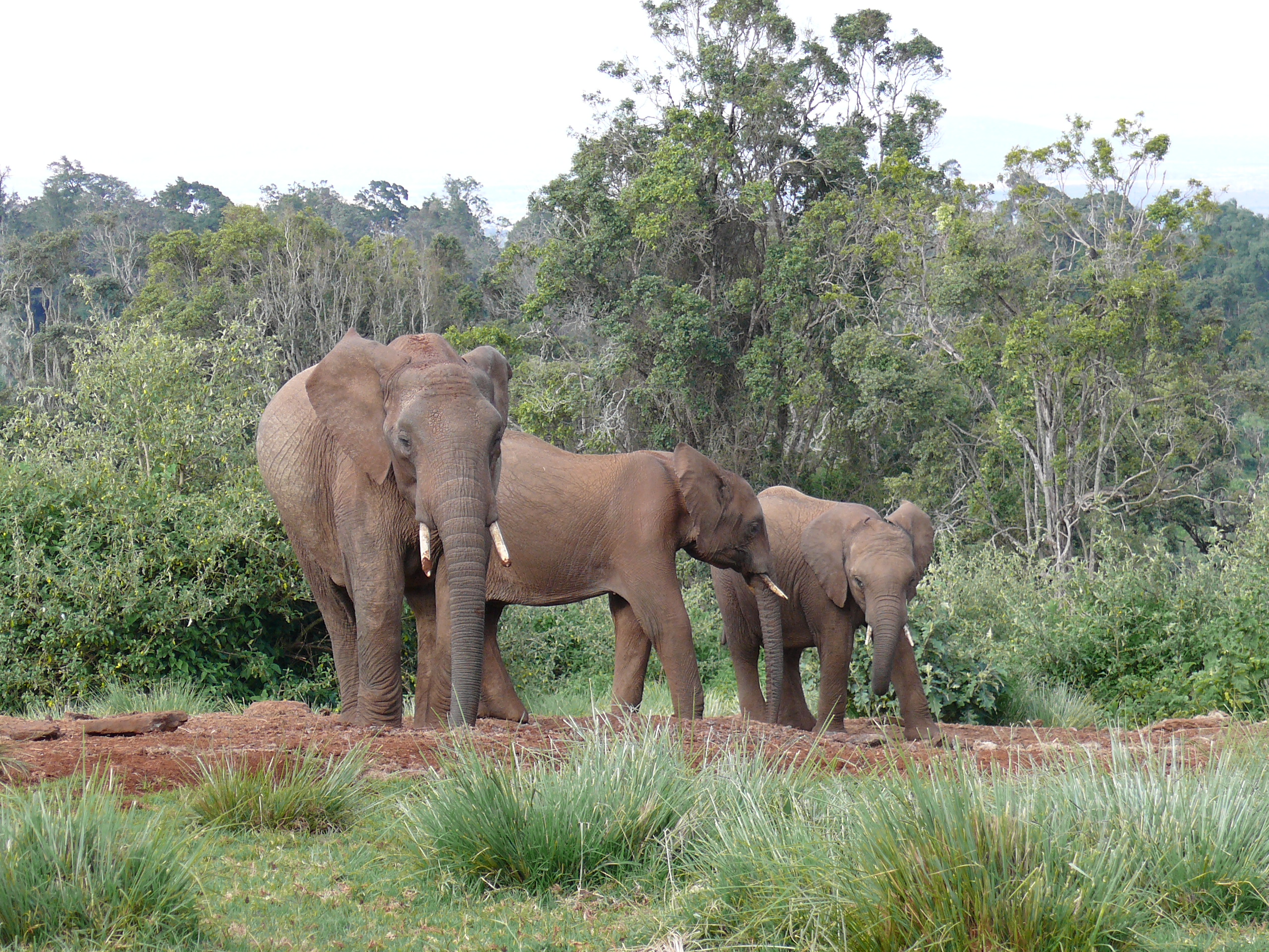 アバーディア02